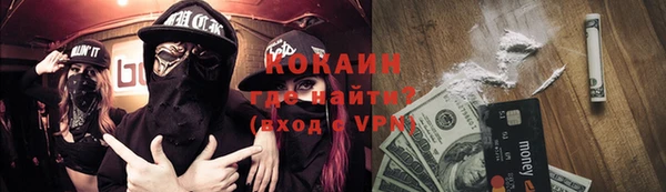 стафф Алексин