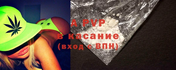 стафф Алексин