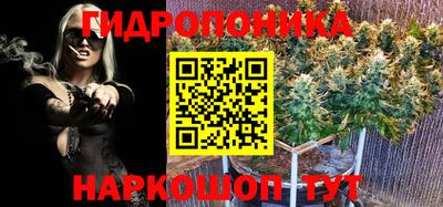 индика Янаул