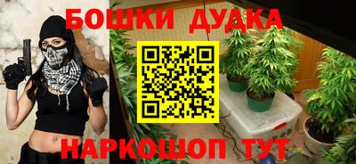 индика Янаул