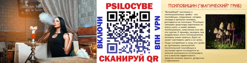 Псилоцибиновые грибы MAGIC MUSHROOMS  площадка формула  Борзя  купить  сайты 