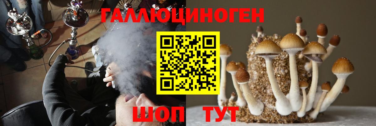 цена   Вход с VPN  Борзя  Псилоцибиновые грибы GOLDEN TEACHER 